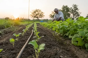 The Journey of Food Begins Long Before the Harvest
